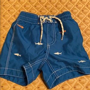 Baby Gap Swim Trunks